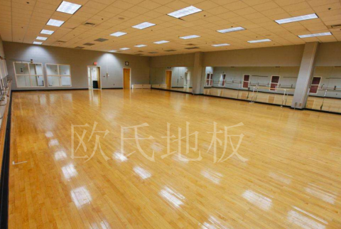 要說(shuō)環(huán)保，運(yùn)動(dòng)木地板的標(biāo)準(zhǔn)是這樣的！